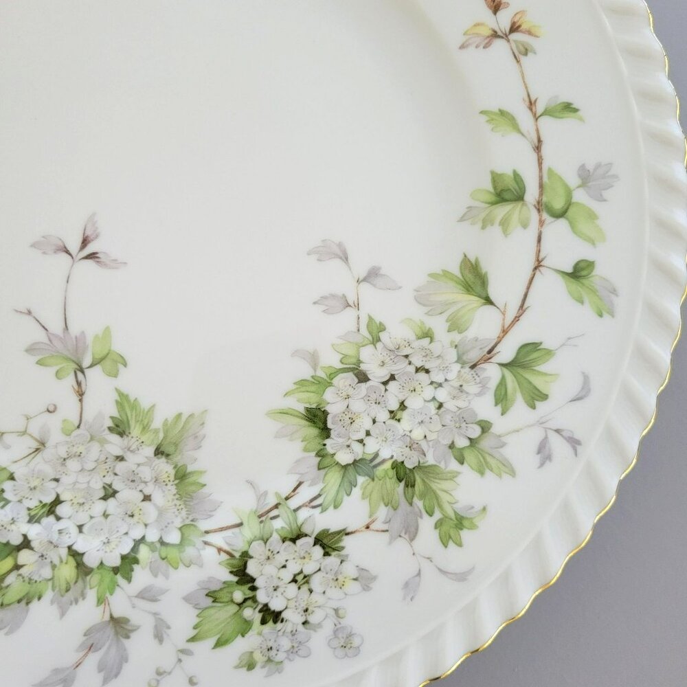 Vintage Franconia Hawthorn Dinner Plate, White Flowers & Leaves, Gadroon Border, - Picture 3 of 9